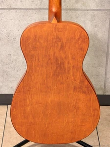 Epiphone Dobro Hound cane girocollo vintage marrone consegna sicura dal Giappone - Foto 1 di 7