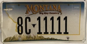 QUINTUPLE digit 1 11111 license plate repeating number Quintuple 1 8C 11111 MT - Picture 1 of 7