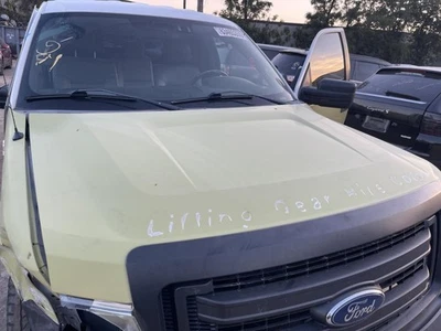 2009 2010 2011 2012 2013 2014 FORD F150 Factory Hood YZ Oxford White      968689 Foto 1 de 4