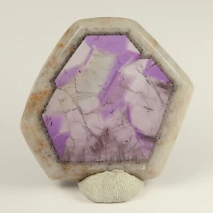 Polyhedral Amethyst slices | Cut and polished trapiche like Amethyst specimens - Picture 1 of 27