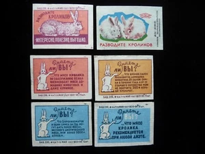 6er Set sowjetische UdSSR Streichholzschachtel Etiketten Kaninchen Kaninchen Zucht Futter 1960 - Bild 1 von 2
