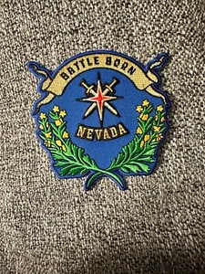 Blue Nevada Day Battle Born Patch - Bild 1 von 4