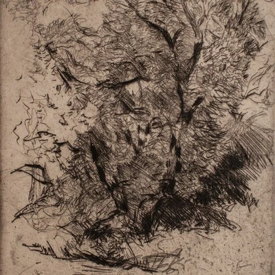 Paul Herrmann Impressionismus Baumstudie Landschaft sign Radierung um 1920 2/7 - Bild 1 von 3