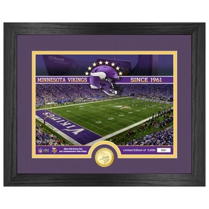 Minnesota Vikings NFL Stadium Golden Coin Photo Mint - Picture 1 of 1