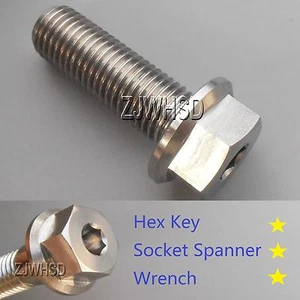 M10 x 1.25 x 30 Ti tanium Screw Bolt Socket Cap Head & Hexagon Hex Flange Head - Picture 1 of 2