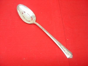 Cuchara para servir perforada International Silverplate SPRING GARDEN - Imagen 1 de 1