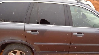 Puerta trasera de pasajero de vidrio laminado para VOLVO XC90 224996 03-14 Foto 1 de 4