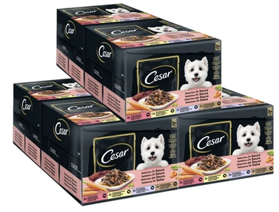 144x100g Cesar Feines Hundefutter Nassfutter Frischebeutel Selection in Sauce - Bild 1 von 4