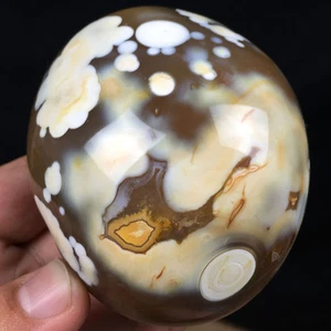 451g TOP !!! Natural Polishing Beautiful Flowers Agate Specimens ip0033 - Picture 1 of 11