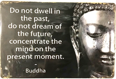 SIGNO DE HOJALATA 8x12 Buda sabiduría hombre sabio chino filósofo sueño futuro C29 Foto 1 de 4