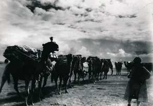CHINESISCHE TÜRKEI ca. 1935 - Karawane Kamele China - NV 2670 - Bild 1 von 2