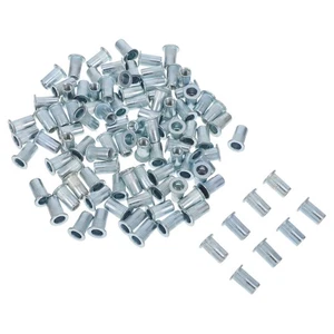100 Pcs Ripe Nut Pull Cap Rivet Nuts Hardware Metal Threaded Rivets - Picture 1 of 12