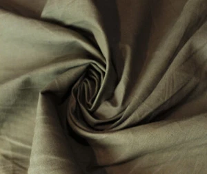 Green Cotton Poplin by the yard X 36" wide - Picture 1 of 5