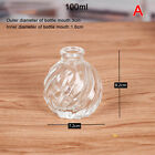 Mini Creative Desktop Simple Vase Decoration Green Dill Hydroponic Plant Bottle
