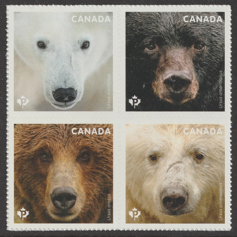 Canada 3191-3194 Bears P block 4 B MNH 2019 - Image 1 of 1