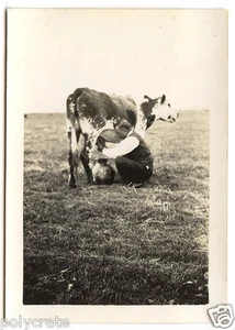 Uomo Trayant Una Mucca Nel Un Champ - Foto Antica Snapshot an.1930 - Imagen 1 de 1