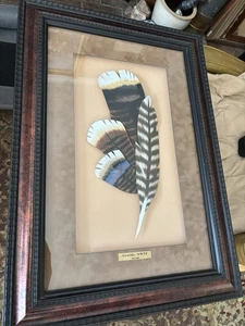 Piume di tacchino in legno incorniciate nuove con etichette di Gould, edizione limitata 462/2600 24”x17” - Foto 1 di 8