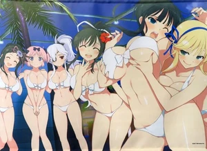 [Tapestry Wall scroll] Senran Kagura Illustration Exh 2018 B2 size Japan - Picture 1 of 1