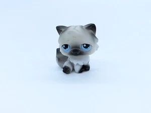 Littlest Pet Shop LPS Black and White Persian Cat, #60 - Picture 1 of 2