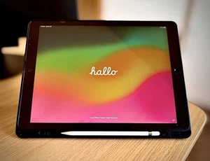 Apple iPad Pro 256GB Wi-Fi Space Grau inkl. APPLE P_encil und H_ülle - Bild 1 von 3