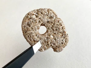 e a Natural Beach Rock Hag Stone Holey Adder Fairy Wish lettera mistica iniziale US - Foto 1 di 10