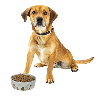 Plato de comida para mascotas Friends - o cuenco de cerámica para agua para mascotas, ideal mediano y grande Foto 1 de 4