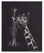 Vintage 1977 Jane Hill GIRAFFE Wildlife Print - 4" x 5"