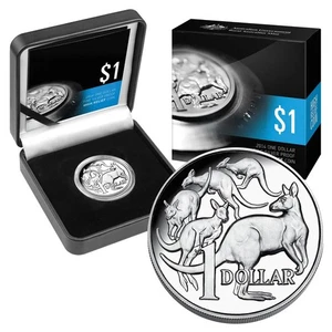 2014 RAM "30th Anniversary of $1 Coin" - Fine Silver Proof High Relief - Bild 1 von 3