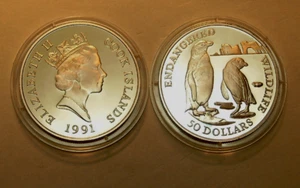 Cook Island 50$ 1991 PP Silber Ø 38,6mm Brillen-Pinguine Endangered Wildlife WWF - Bild 1 von 1
