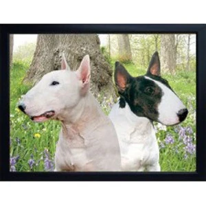 ENGLISCHER BULL TERRIER 3D KÜHLSCHRANKMAGNET toller Weihnachtsstrumpffüller - Bild 1 von 1