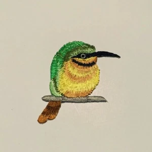 Kiwi Vögel Bügelbild Aufnäher/Tierabzeichen/DIY Stickerei/Deko Patch/Stickerei - Bild 1 von 2