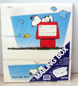 Vintage Peanuts Snoopy Medium Versandkarton (versiegelt) einfache Montage ~ NEU ~ L@@K! - Bild 1 von 2