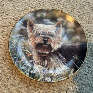 Little Charmer Danbury Mint Collector Plate - Picture 1 of 2