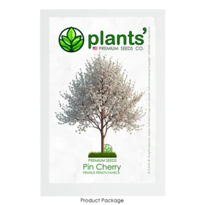 Pin Cherry Tree | Premium Seeds | Prunus pensylvanica 'Spring' | Plants'® - Picture 1 of 15