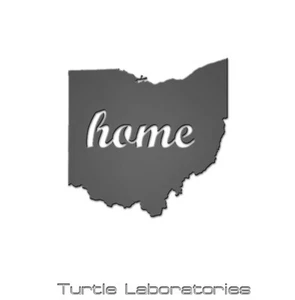 Ohio Home Steel Cutout Decorative Metal Wall Sculpture Art Hanging - Foto 1 di 1