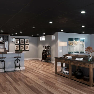 Genesis - Azulejos de techo negros Smooth Pro Foto 1 de 3