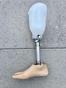 Bulldog TCA-1S Prosthetic Right Leg Below Knee 26 with Ottobock Foot 2C6 R26 - Picture 1 of 5