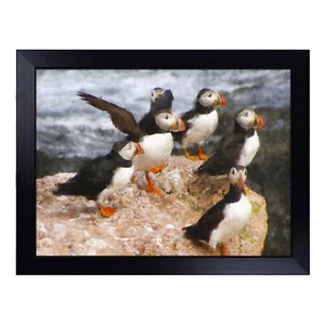 Atlantic Puffin Birds Vol.3 Lap Tray Cushioned Bean Bag Padded TV Dinner Desk - Picture 1 of 4
