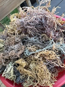 Raw Sea Moss - FULLY Wild from the rocks - 1 POUND BULK - BUY 2 & Get 8oz Free - Picture 1 of 8