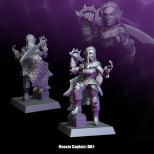 Reaver Captain - Female Elf Pirate - Picture 1 of 1