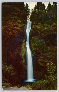 Horsetail Falls Columbia River Highway Oregon OR 1955 Postcard - Picture 1 of 2