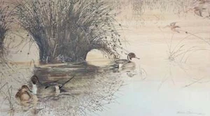 Thomas Quinn - Untroubled Water - S/N Lithograph - Signed - MINT - Picture 1 of 1