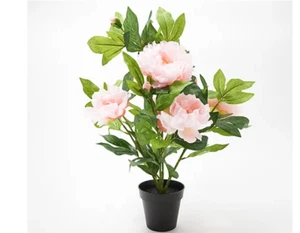 Wicker Park 21" Indoor/Outdoor Peony Flower Floral Plant in Planter Pink NEW QVC - Picture 1 of 8
