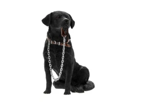 BLACK LABRADOR SITTING DOG ORNAMENT/FIGURINE WITH LEAD BY LEONARDO - Picture 1 of 1