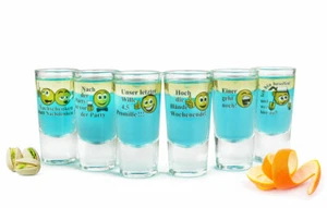 6 Schnapsgläser Tequilagläser mit Sprüchen Schnaps Shots Stamper Wodkagläser - Bild 1 von 6