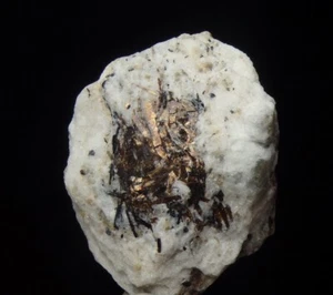 ASTROPHYLLITE rare mineral !!! - Russia KOLA - Khibiny - Eveslogchorr Mt /pl537 - Picture 1 of 12