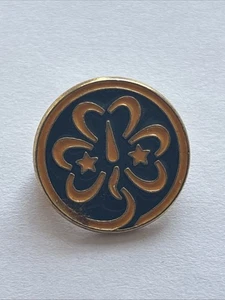 Girl Guide Metal Badge. WAGGGS. - Picture 1 of 2