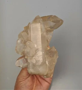Smokey Quartz Cluster Natural Himalayan Crystal (140x95mm)  - Picture 1 of 5