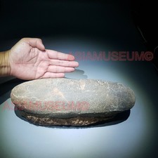 13" Tarbosaurus Oviraptor Raptor Asian T-REX Dinosaur Egg Fossil JURASSIC WORLD 