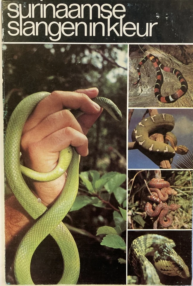 Surinaamse Slangeninkleur ( Suriname Snakes In Color ) Herpetology venomous  - Image 1 of 1